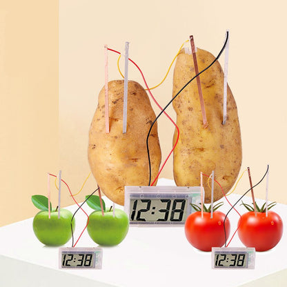 Potato Clock Educational Science Toys