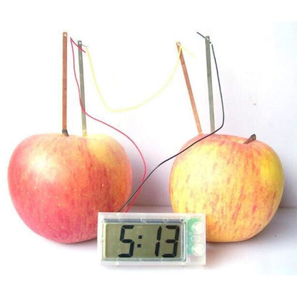 Potato Clock Educational Science Toys