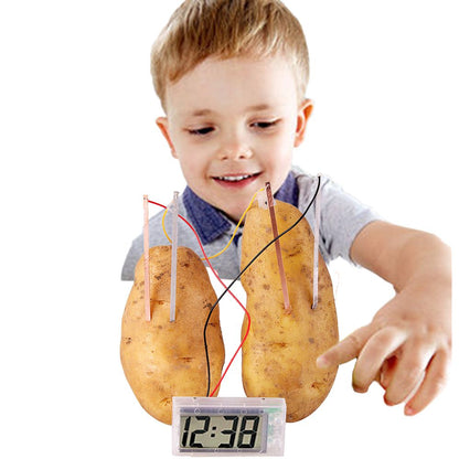 Potato Clock Educational Science Toys