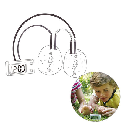 Potato Clock Educational Science Toys